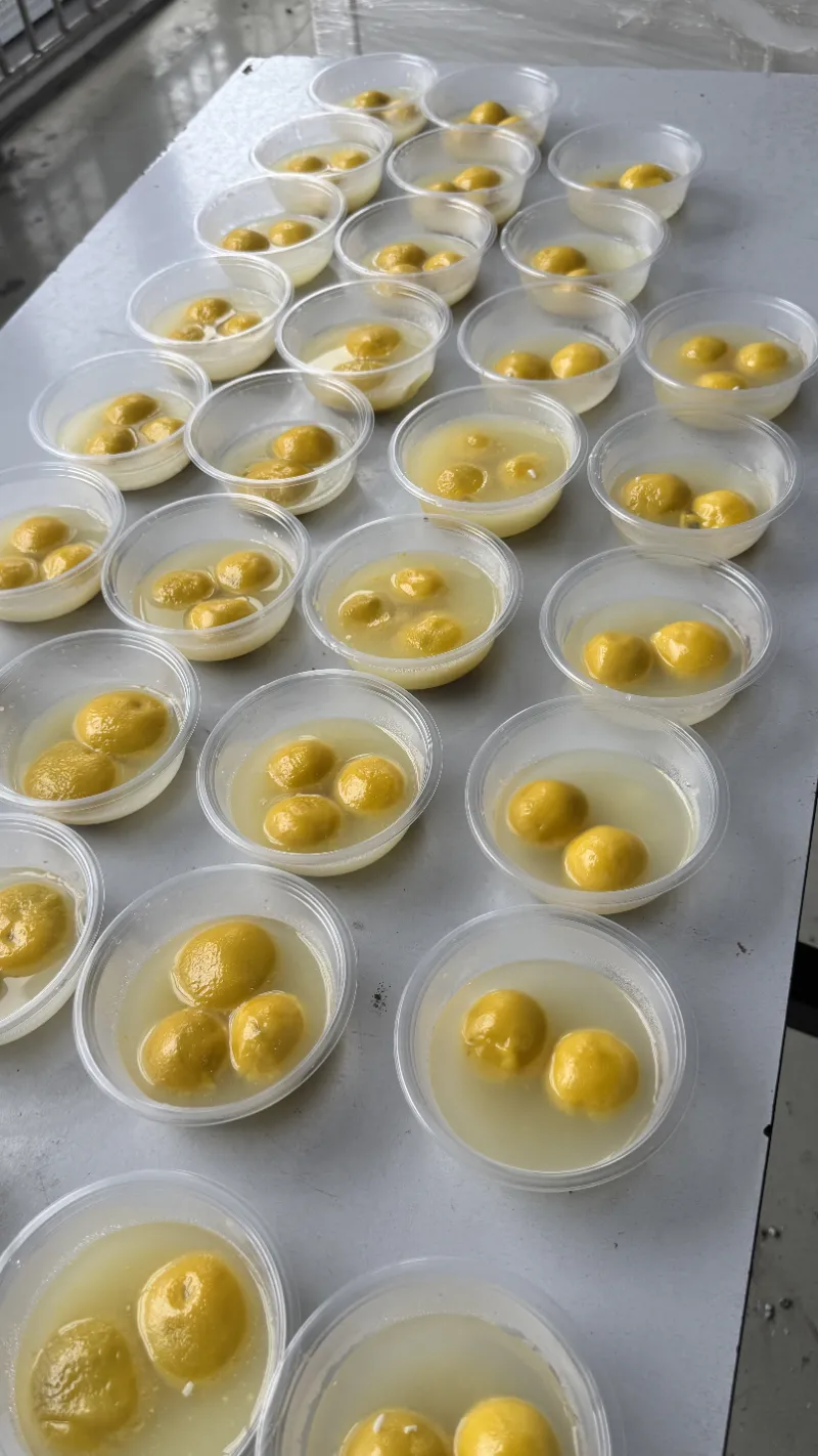 Le Festival des Lanternes apporte la chaleur d'une réunion de famille aux habitants de SHUAIRUI